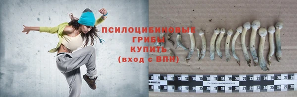 мет Богданович