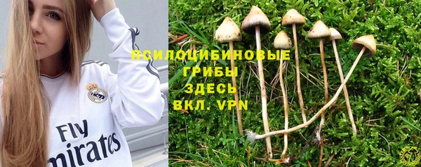мет Богданович