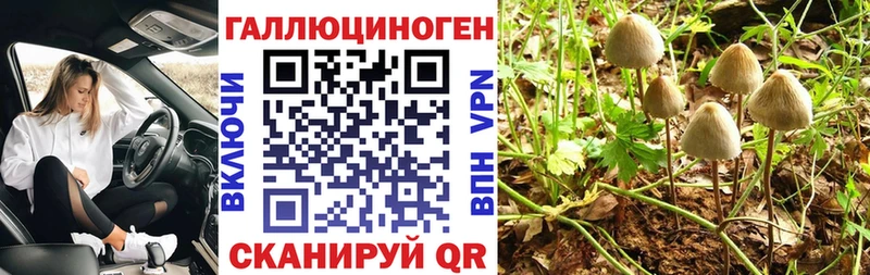 где купить наркоту  Яблоновский  Псилоцибиновые грибы мицелий 